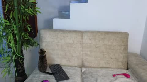 Snapshot of emma_blue_ chatting on 20, 10, 2025 Emma Blue modelo independiente online show from 20, 10, 2025