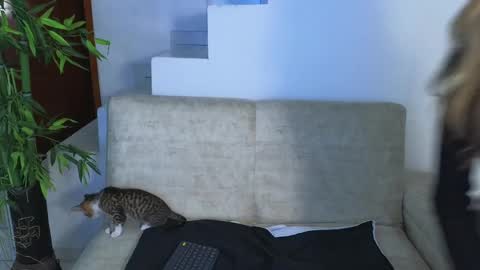 Snapshot of emma_blue_ chatting on 28, 10, 2025 Emma Blue modelo independiente online show from 28, 10, 2025