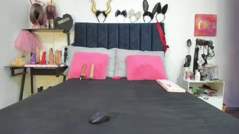          online show from 8, 4, 2026