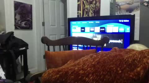 Snapshot of empusalamia chatting on 25, 1, 2025 empusalamia online show from 25, 1, 2025