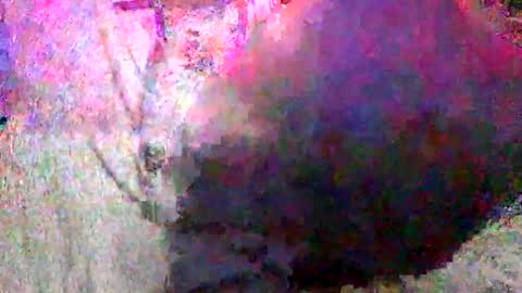 Snapshot of enjooythenut chatting on 18, 1, 2025 Batman online show from 18, 1, 2025