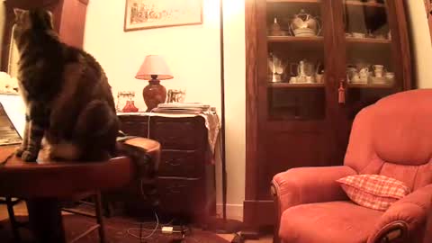 Steph et Eric online show from 26, 11, 2025