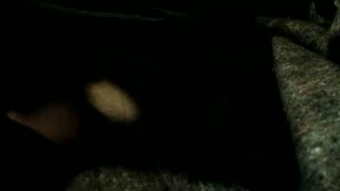 estelarseiya online show from 4, 1, 2025