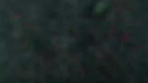 estelarseiya online show from 5, 2, 2025