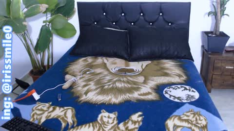 Iris Smile  independent model online show from 20, 12, 2024