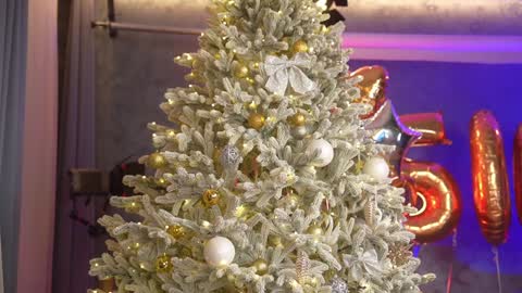 Snapshot of eva_fashionista chatting on 28, 12, 2024 Eva online show from 28, 12, 2024