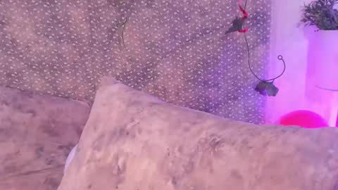 Evan Smitt online show from 15, 2, 2025