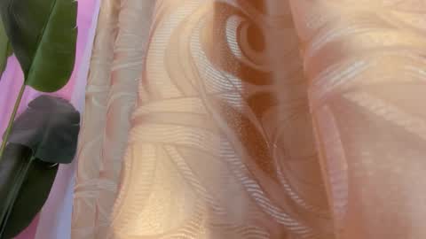 evelyn__rose1 online show from 8, 3, 2026