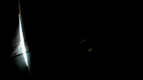 Snapshot of evelyn_coelloo chatting on 8, 1, 2026 Eve online show from 8, 1, 2026
