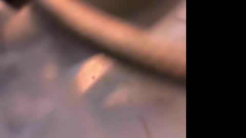 Exhibandvoyeur online show from 31, 10, 2025