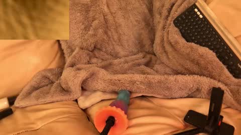 exhibitp online show from 5, 11, 2025