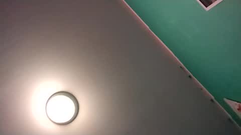 experttreecompany online show from 16, 2, 2026