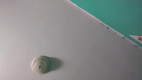 experttreecompany online show from 14, 3, 2026