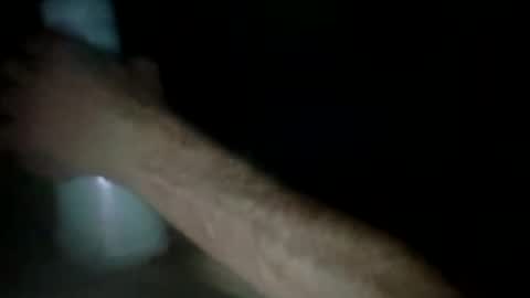 experttreecompany online show from 24, 3, 2026