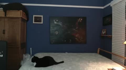 Snapshot of extrafirmtofu chatting on 26, 12, 2024 Tommy Rose online show from 26, 12, 2024