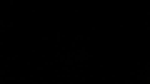 exy__flexy online show from 19, 11, 2025