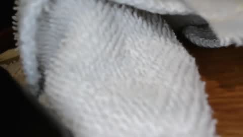 eyering online show from 19, 1, 2025