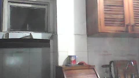 Snapshot of fabiar11 chatting on 26, 7, 2026 R online show from 26, 7, 2026