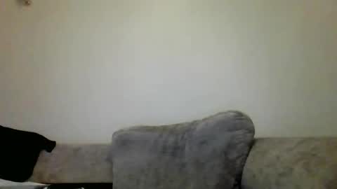 the masturbator online show from 8, 2, 2025