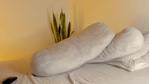 -  A N D E R online show from 13, 1, 2026