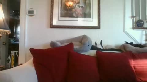 fairmount31 online show from 7, 1, 2025