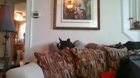 fairmount31 online show from 19, 2, 2025