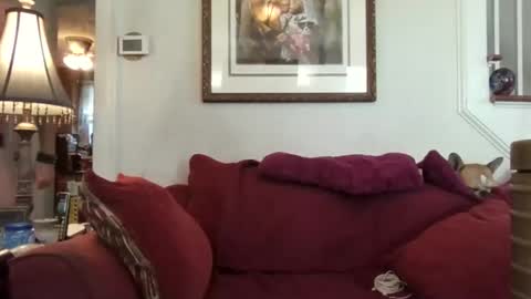 fairmount31 online show from 21, 10, 2025