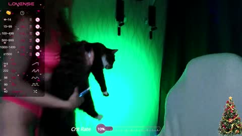 my name is Masha online show from 20, 12, 2024