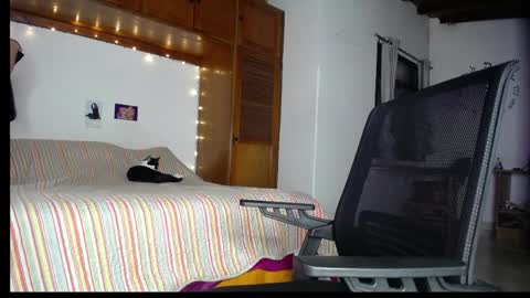 farid_24 online show from 3, 6, 2026