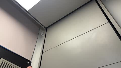 Gattino online show from 3, 12, 2024