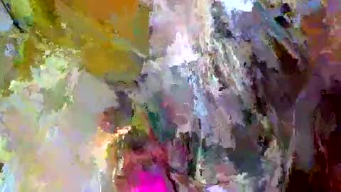 Gattino online show from 13, 9, 2025