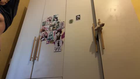 Gattino online show from 29, 9, 2025