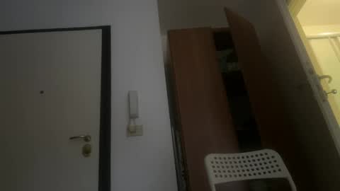 Gattino online show from 3, 4, 2026