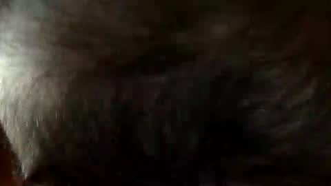 FastStr0ker10 online show from 21, 12, 2025