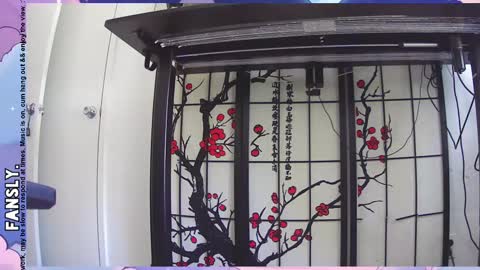 Zoey online show from 9, 10, 2025