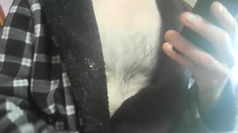 feardubh online show from 20, 2, 2026