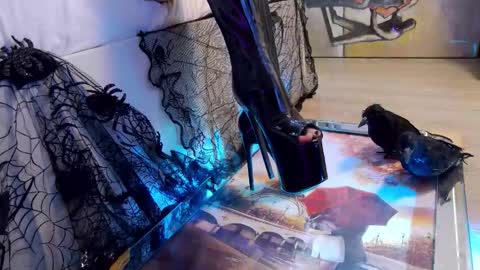 Snapshot of feetvibe chatting on 24, 10, 2025 FeetVibe online show from 24, 10, 2025