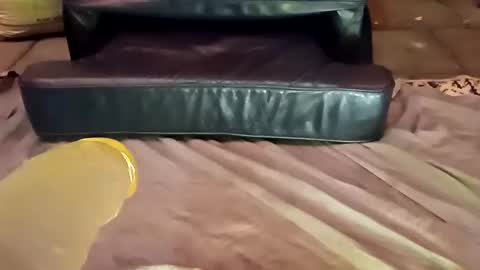 femboy710cum online show from 21, 12, 2024