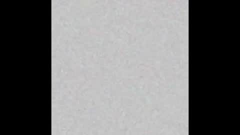 Snapshot of femboy_fangs chatting on 1, 12, 2025 femboyfangs online show from 1, 12, 2025