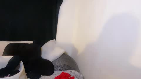 this is justice tricia a bigelow. she was fucking my husband tom girardi online show from 2, 11, 2025