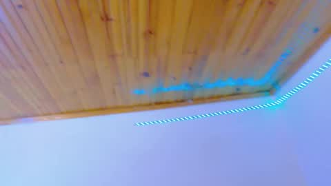 stefannia online show from 3, 2, 2026