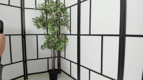 fetish_life online show from 11, 1, 2025