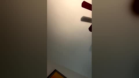 fettybetty777 online show from 3, 3, 2026