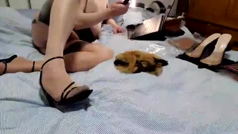 ffst0ckings online show from 17, 1, 2025