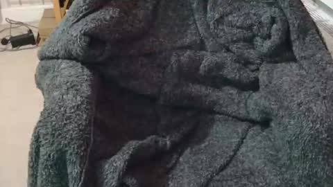 Snapshot of ffys2025 chatting on 13, 2, 2026 ffys2025 online show from 13, 2, 2026