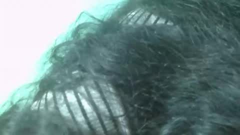 fifaalydia online show from 22, 11, 2025