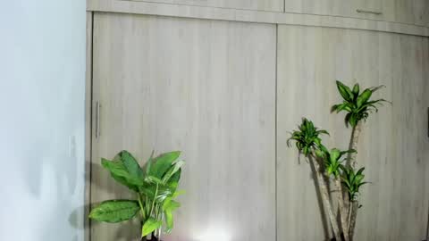 filletatouee online show from 10, 11, 2025