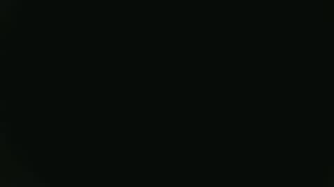 Fish online show from 16, 1, 2025