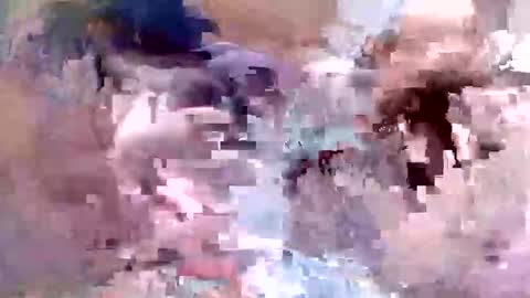 fishon13 online show from 19, 4, 2026