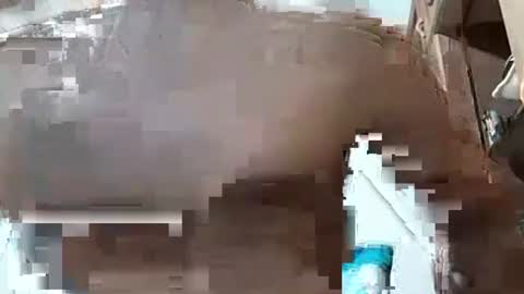 fitchestabs_69 online show from 7, 12, 2024